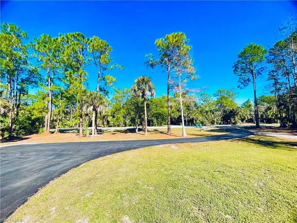 a view of a yard and a house