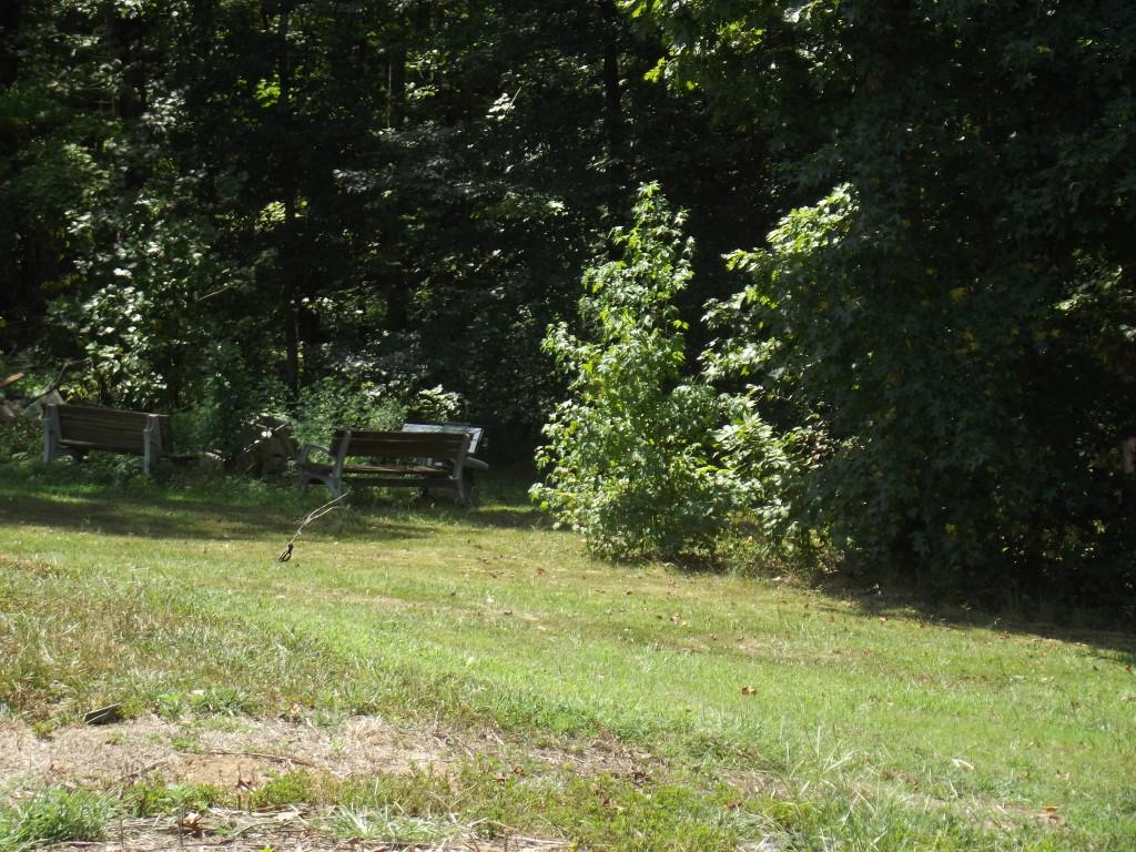Randall Fugate Rd Spring Spring City, TN 37381 - Photo 12 of 31 DSCF1982 (Medium)