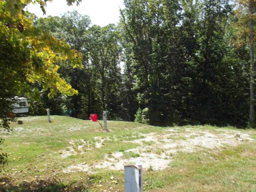 Randall Fugate Rd Spring Spring City, TN 37381 - Photo 13 of 31 DSCF1984 (Medium)