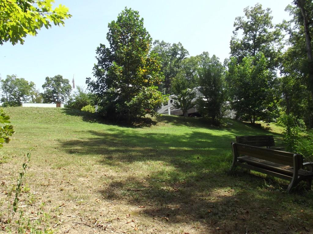 Randall Fugate Rd Spring Spring City, TN 37381 - Photo 15 of 31 DSCF1999 (Medium)
