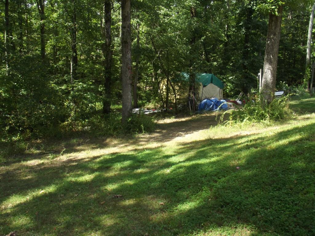 Randall Fugate Rd Spring Spring City, TN 37381 - Photo 3 of 31 DSCF1995 (Medium)