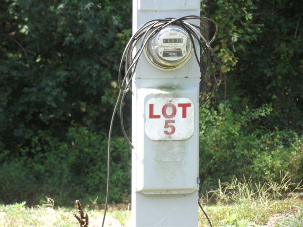 Randall Fugate Rd Spring Spring City, TN 37381 - Photo 25 of 31 DSCF1980 (Medium)