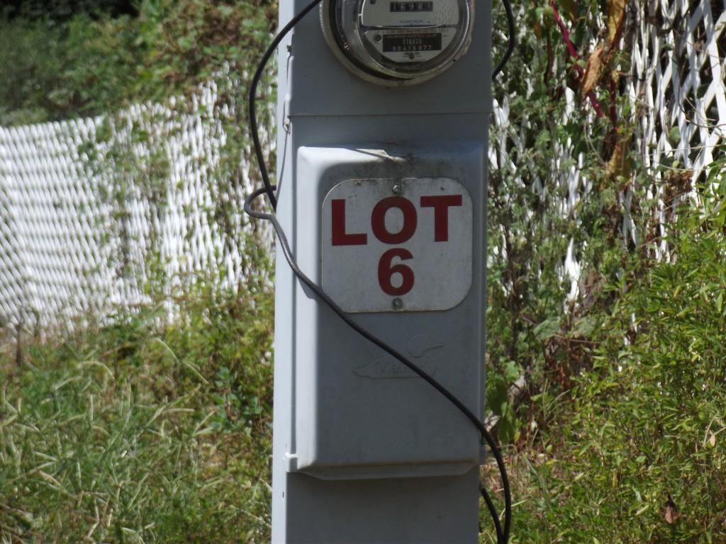 Randall Fugate Rd Spring Spring City, TN 37381 - Photo 26 of 31 DSCF1981 (Medium)