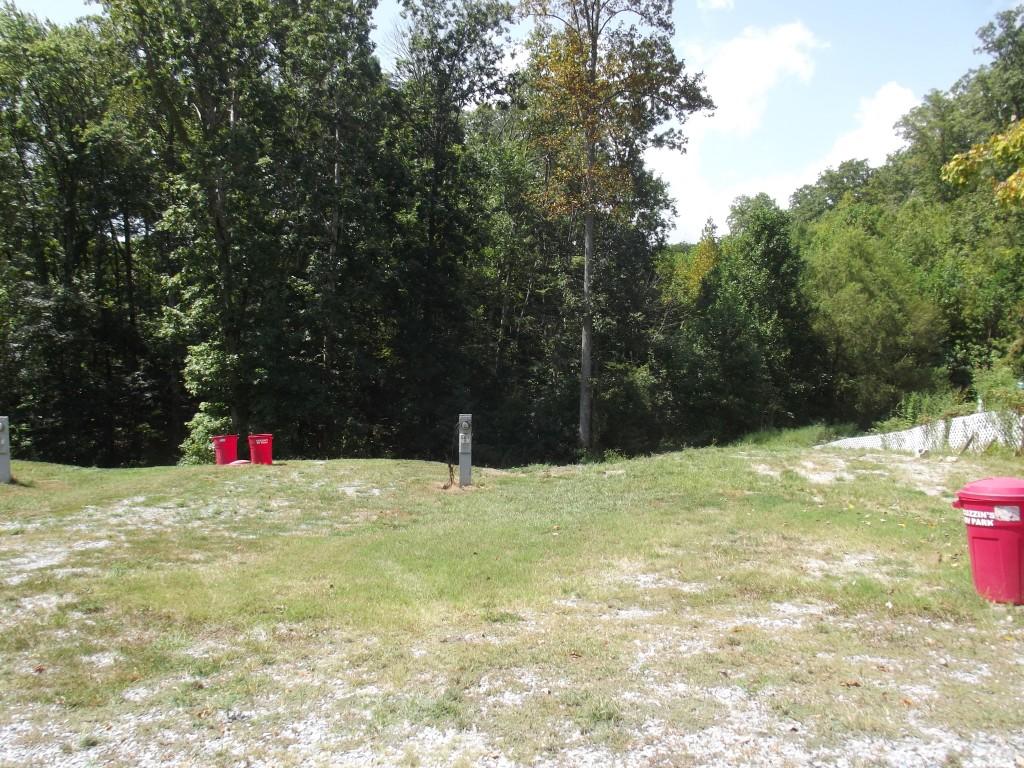 Randall Fugate Rd Spring Spring City, TN 37381 - Photo 29 of 31 DSCF1987 (Medium)