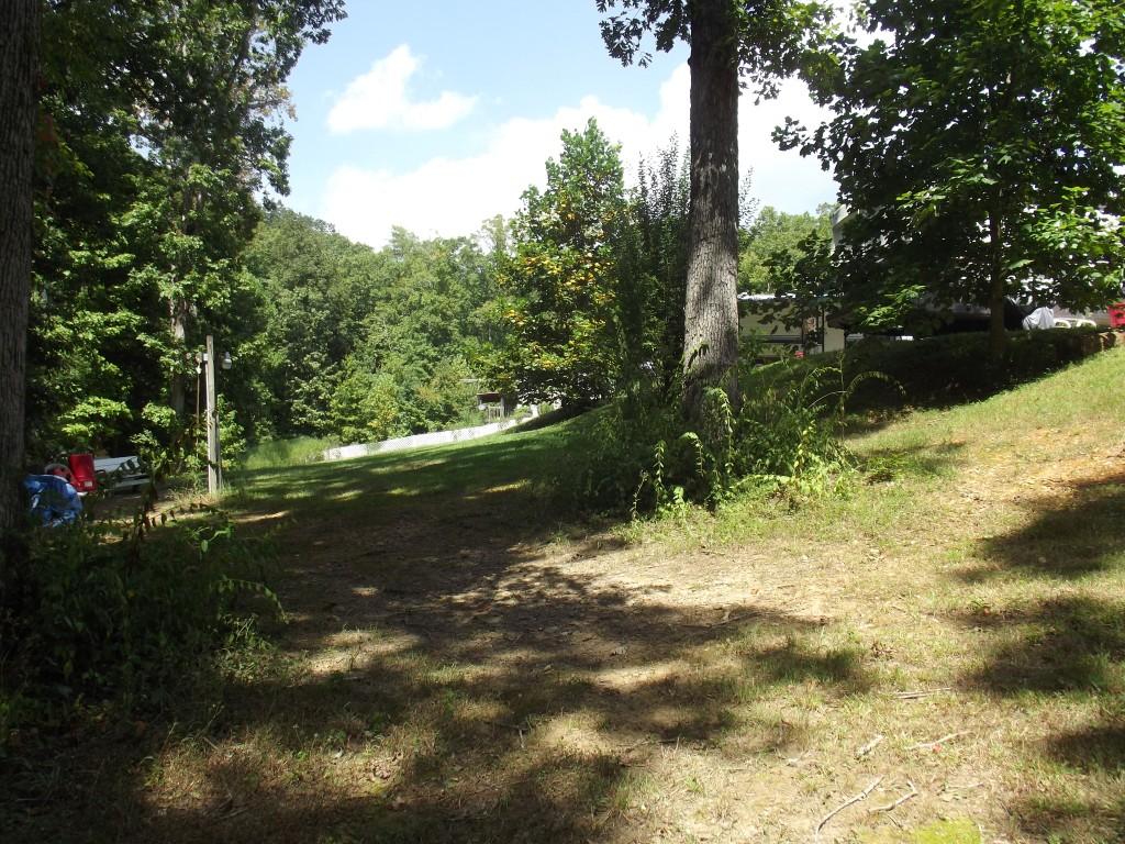 Randall Fugate Rd Spring Spring City, TN 37381 - Photo 4 of 31 DSCF1997 (Medium)