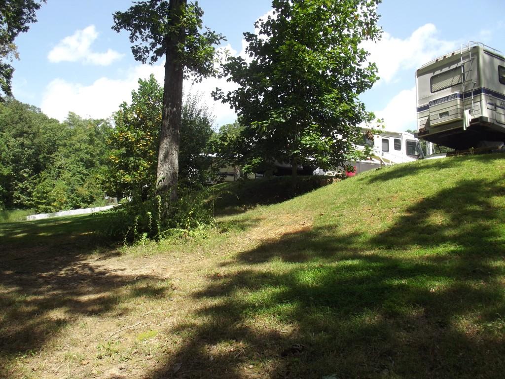 Randall Fugate Rd Spring Spring City, TN 37381 - Photo 5 of 31 DSCF1998 (Medium)