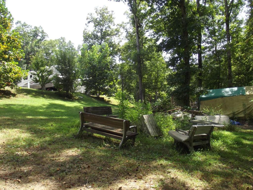 Randall Fugate Rd Spring Spring City, TN 37381 - Photo 6 of 31 DSCF2001 (Medium)