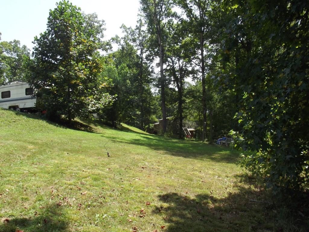 Randall Fugate Rd Spring Spring City, TN 37381 - Photo 7 of 31 DSCF2002 (Medium)