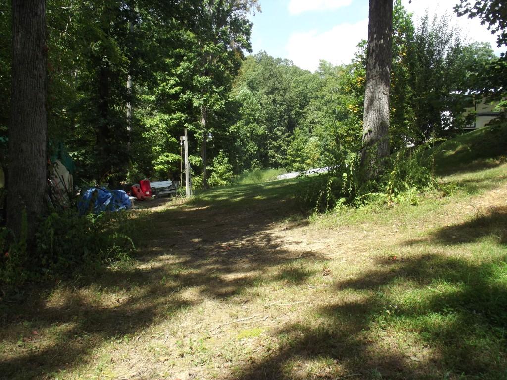 Randall Fugate Rd Spring Spring City, TN 37381 - Photo 8 of 31 DSCF1996 (Medium)