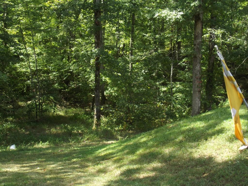 Randall Fugate Rd Spring Spring City, TN 37381 - Photo 10 of 31 DSCF1994 (Medium)