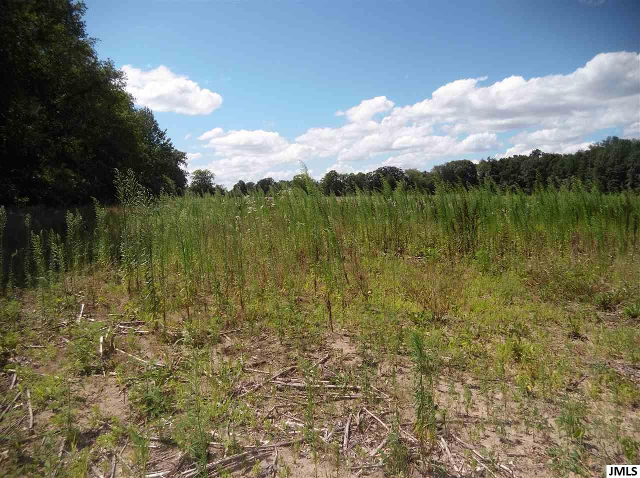 0 Easton Road Rives Junction, MI 49277 - Photo 3 of 6 Photo 3