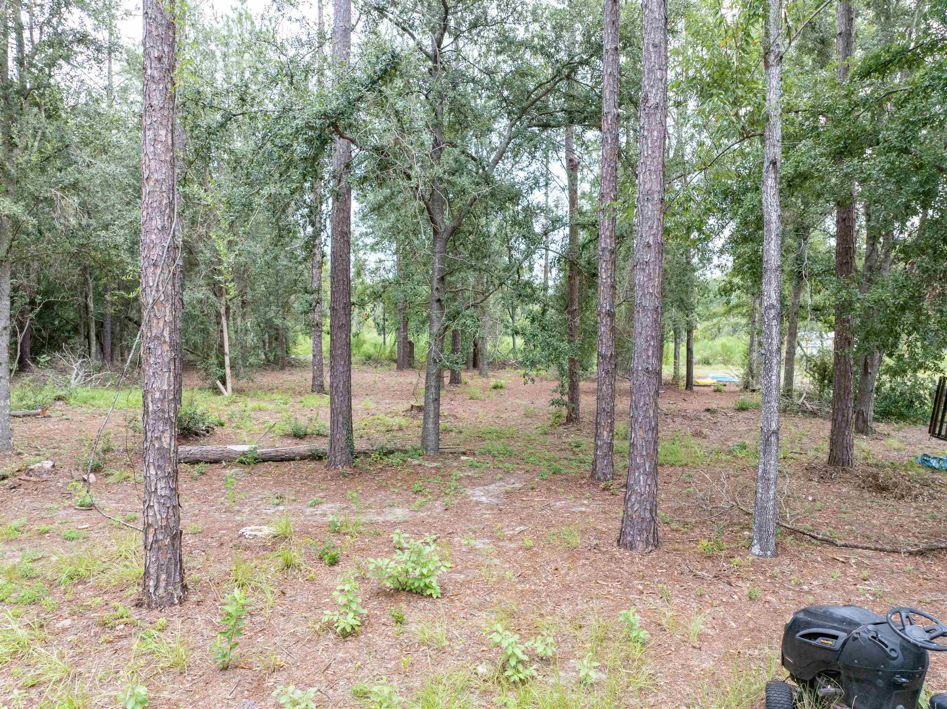 7359 Southwest 39th Avenue Jasper, FL 32052 - Photo 12 of 42