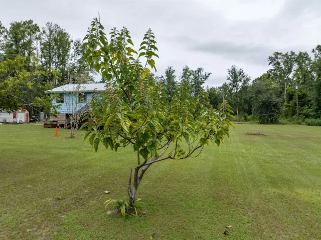 $145,000 | 7359 Southwest 39th Avenue, Jasper, FL 32052