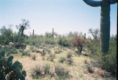 0 East Powerline Road Marana, AZ 85653 - Photo 4 of 10