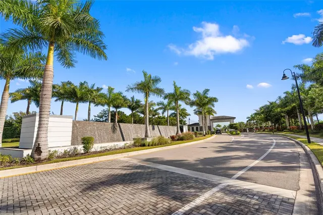 a view of a palm trees