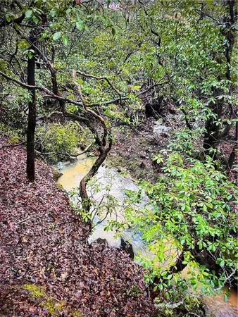 $99,000 | 69 North Lake Drive, Cleveland, GA 30528