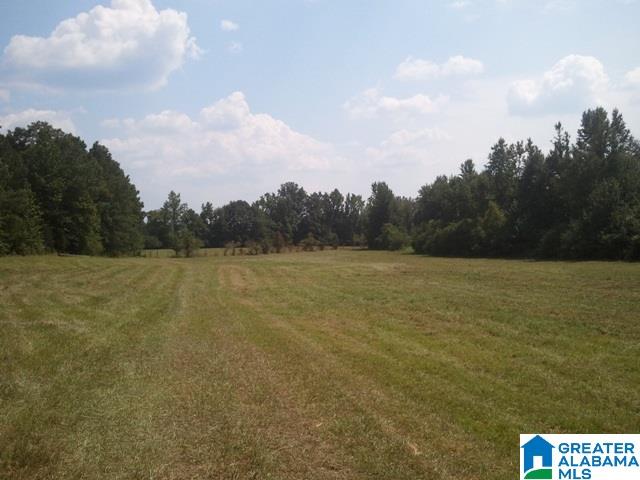 379 Driggers Road Lineville, AL 36266 - Photo 4 of 22 Gallery Image 4