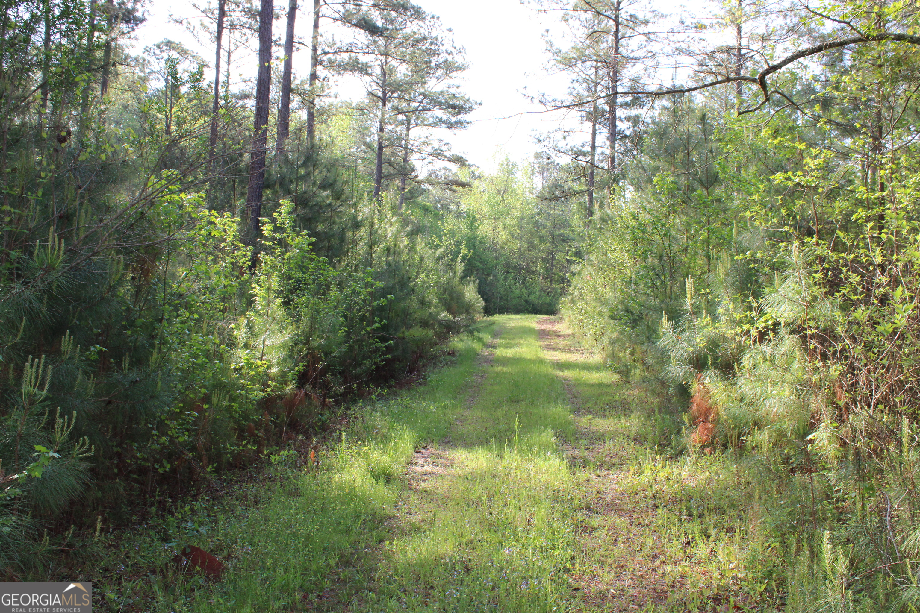 0 Ruffner Road The Rock, GA 30285 - Photo 12 of 51 a view of outdoor space and trees