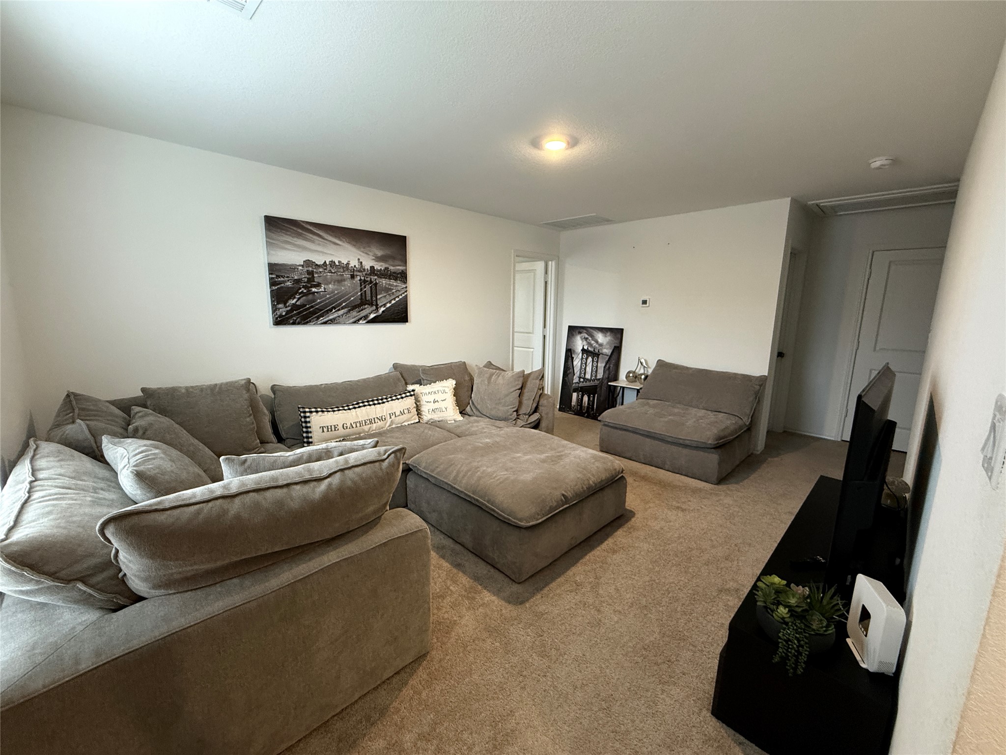 23420 Tiny Moons Way Elgin, TX 78621 - Photo 14 of 22 a living room with furniture and a flat screen tv