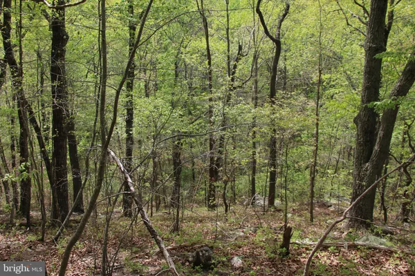 $60,000 | Drummer Hill Road, Front Royal, VA 22630