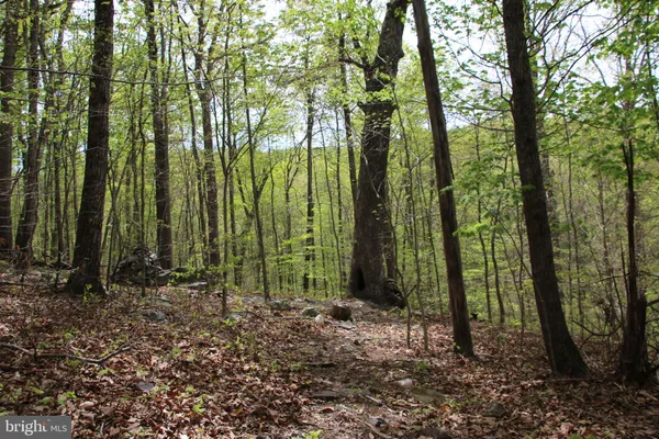 $60,000 | Drummer Hill Road, Front Royal, VA 22630