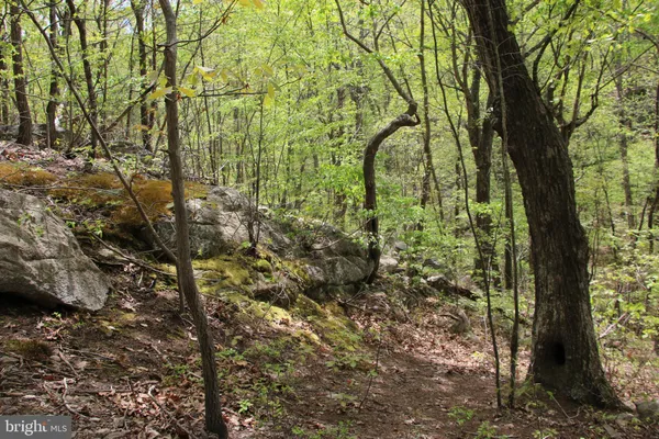 $60,000 | Drummer Hill Road, Front Royal, VA 22630