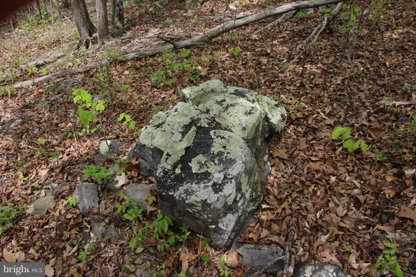 $60,000 | Drummer Hill Road, Front Royal, VA 22630