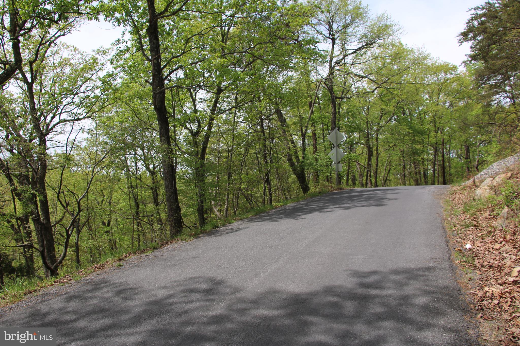 Drummer Hill Road Front Royal, VA 22630 - Photo 15 of 26 a view of a road with a trees