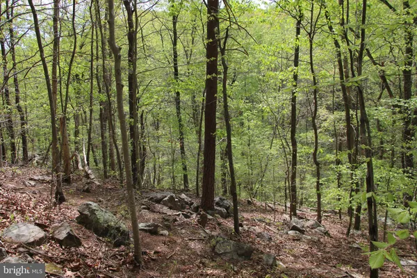 $60,000 | Drummer Hill Road, Front Royal, VA 22630