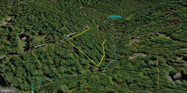 a view of a plant in a garden