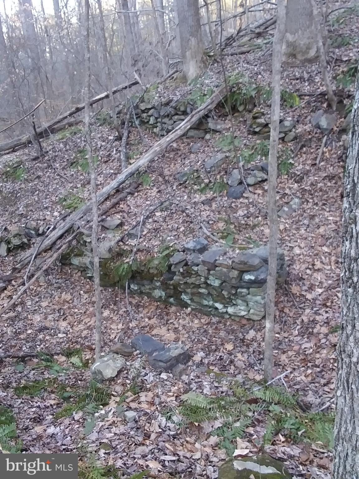 Drummer Hill Road Front Royal, VA 22630 - Photo 2 of 26 a view of a yard