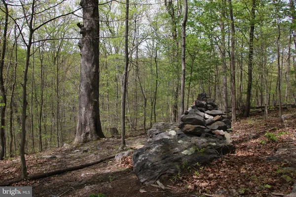 $60,000 | Drummer Hill Road, Front Royal, VA 22630