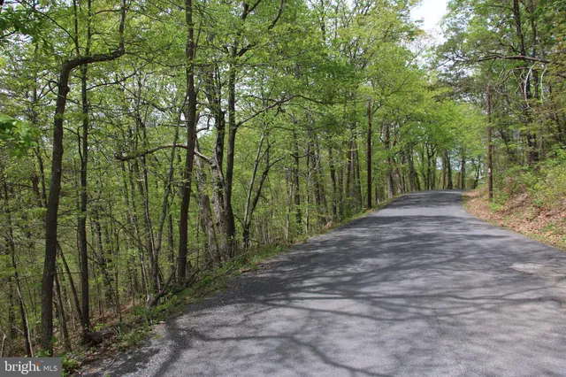 a view of backyard with green space