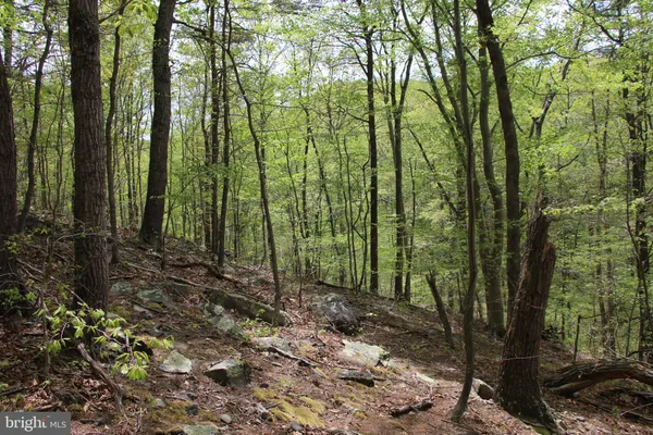 $60,000 | Drummer Hill Road, Front Royal, VA 22630