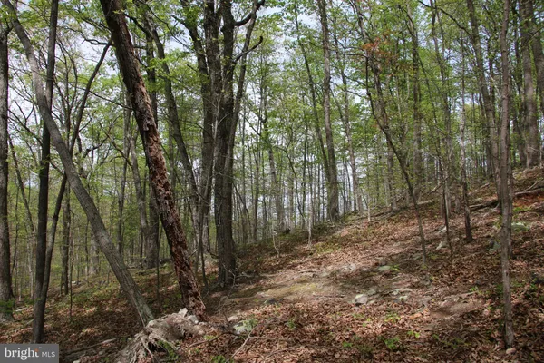 $60,000 | Drummer Hill Road, Front Royal, VA 22630