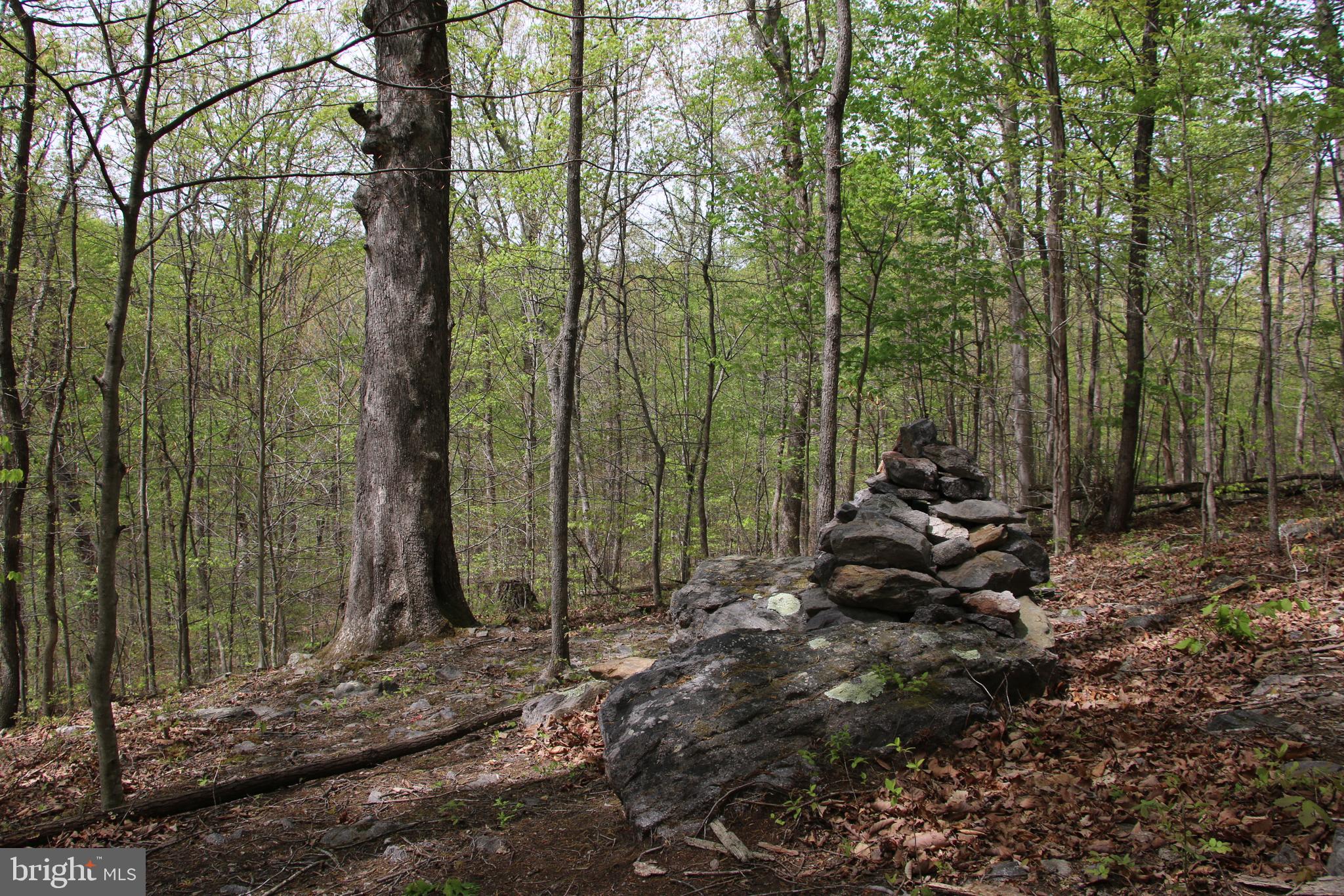 Drummer Hill Road Front Royal, VA 22630 - Photo 7 of 26 a view of outdoor space and tree s