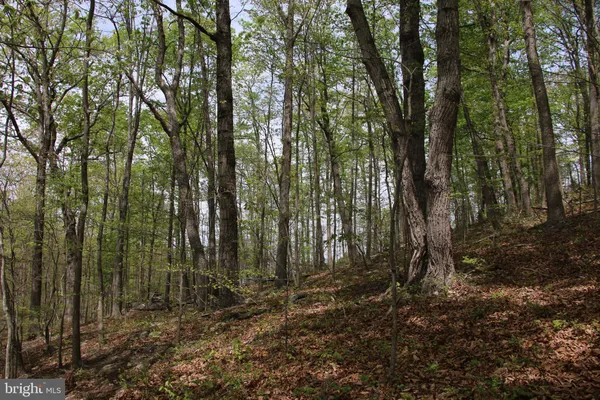 $60,000 | Drummer Hill Road, Front Royal, VA 22630