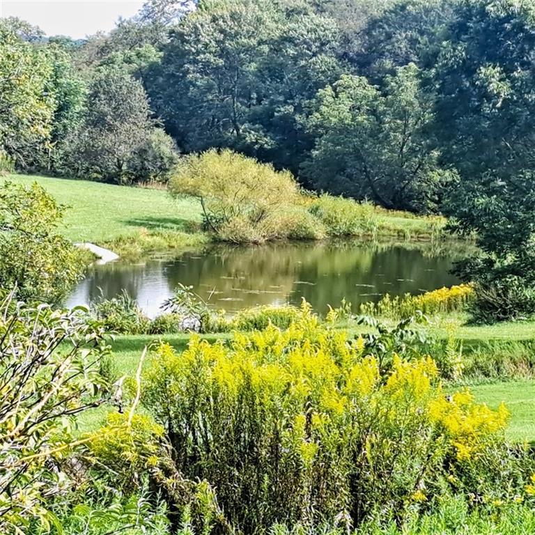 Fishing pond