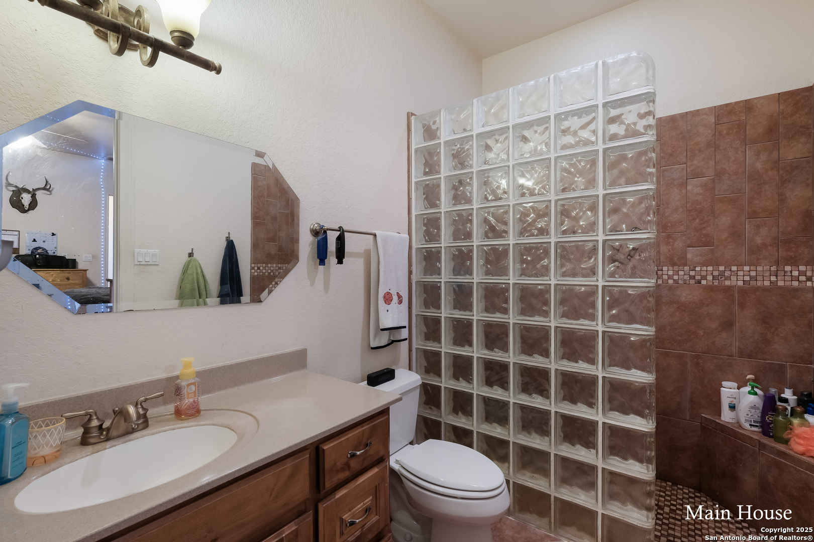 208 Private Road 378 Rio Medina, TX 78066 - Photo 10 of 30 a bathroom with a sink a toilet a mirror and shower