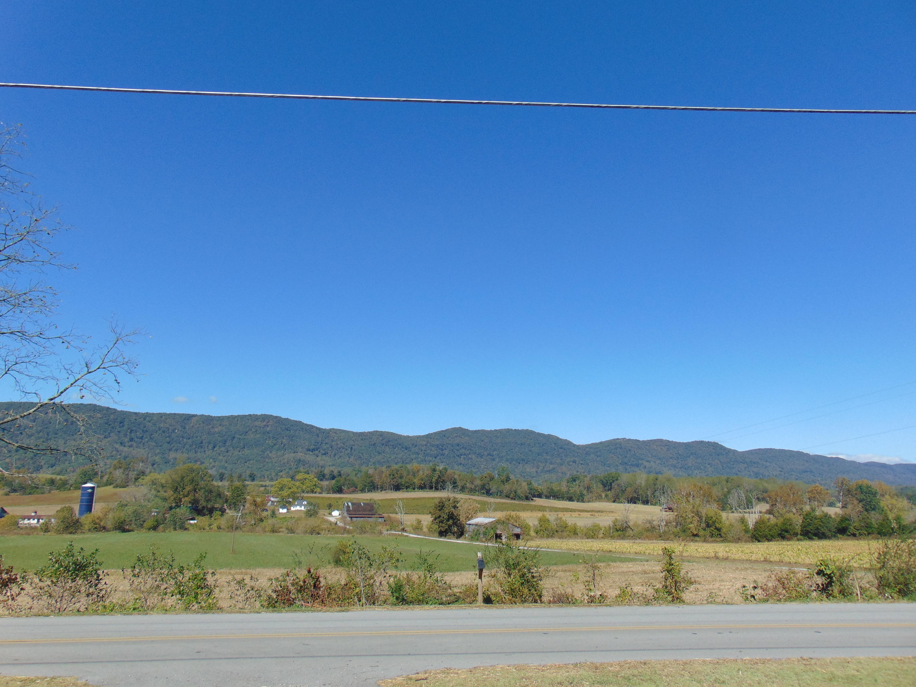 3475 Back Valley Road Speedwell, TN 37870 - Photo 5 of 16 DSC01067