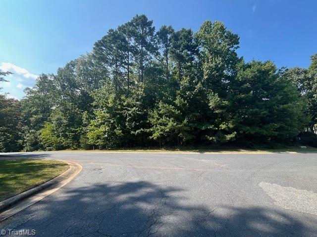 Lot 37 Fox Ridge Road Asheboro, NC 27205 - Photo 4 of 7