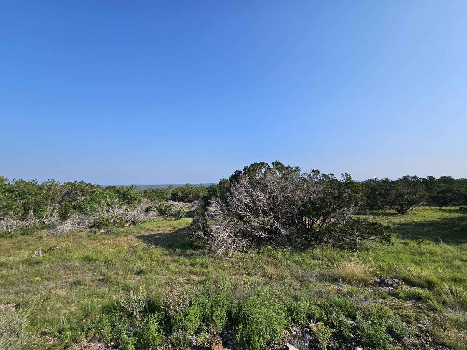 0 Windmill Ridge Blanco, TX 78606 - Photo 11 of 21