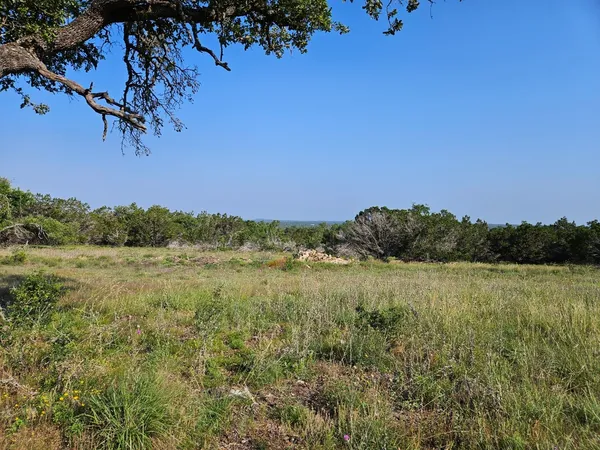 a view of a field of grass and trees
