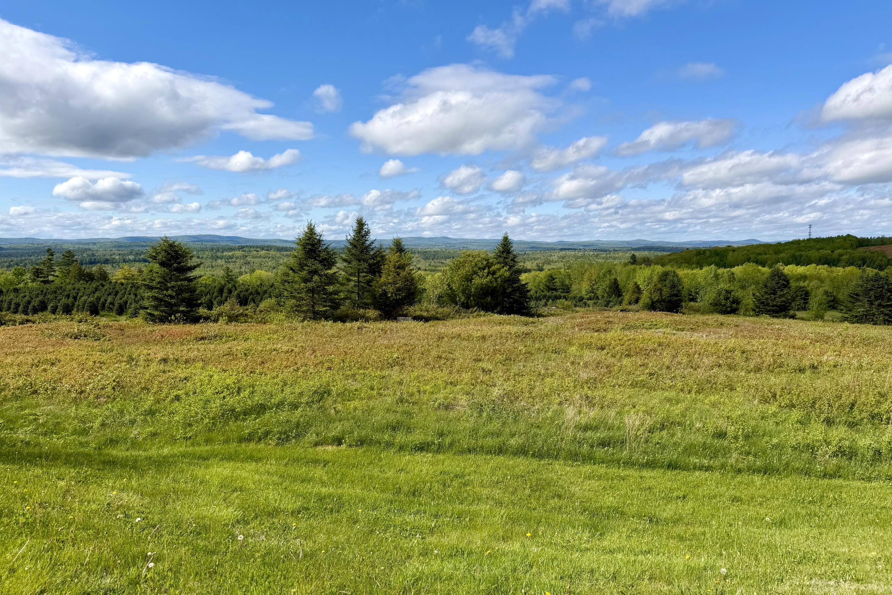 297 Appleton Ridge Road Searsmont, ME 04973 - Photo 2 of 50 Wide open views