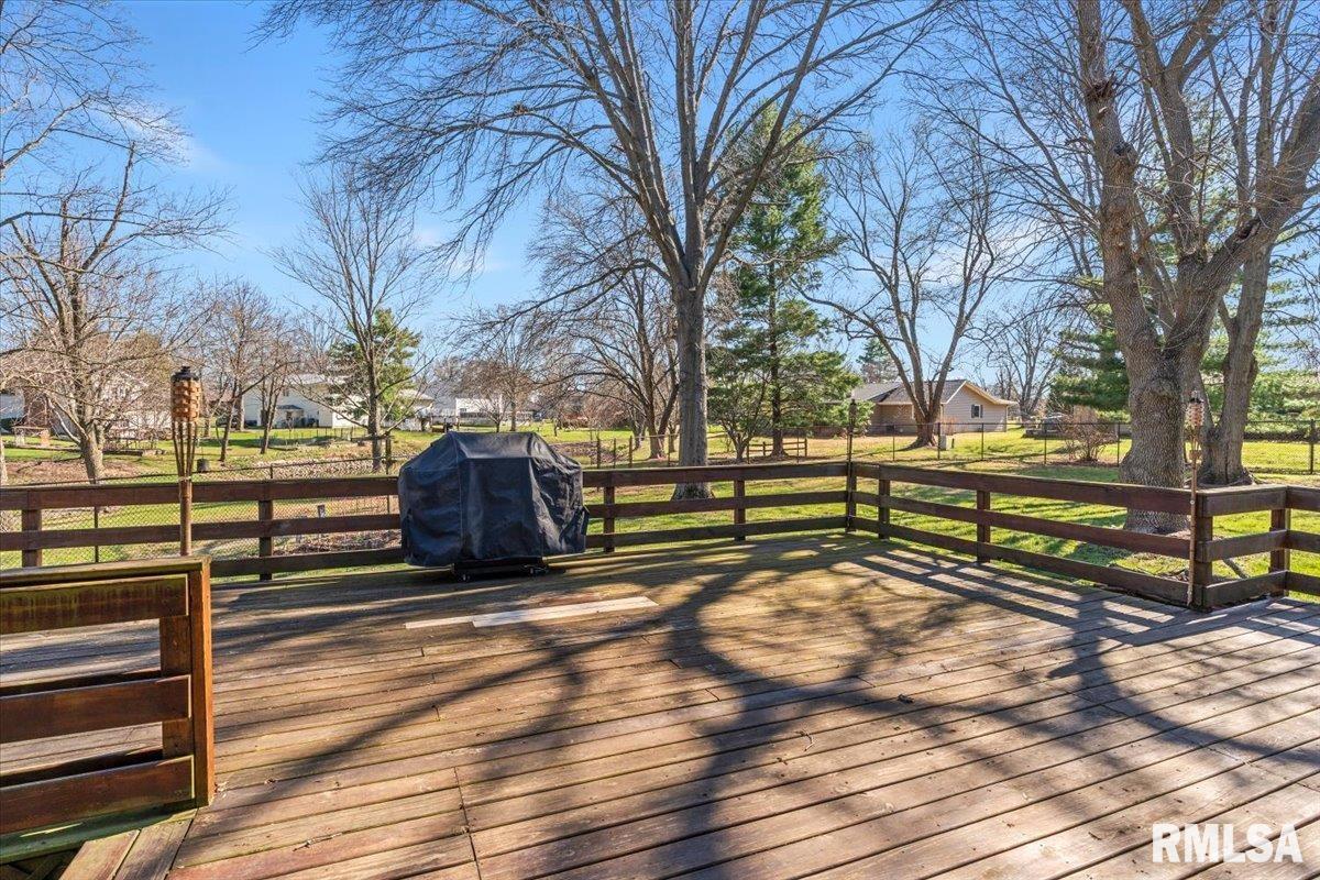 124 Augie Court Chatham, IL 62629 - Photo 32 of 44