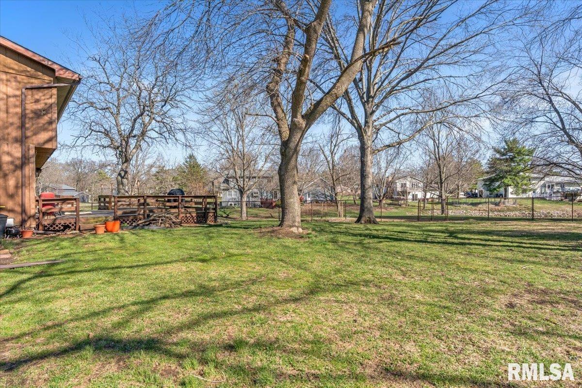 124 Augie Court Chatham, IL 62629 - Photo 35 of 44