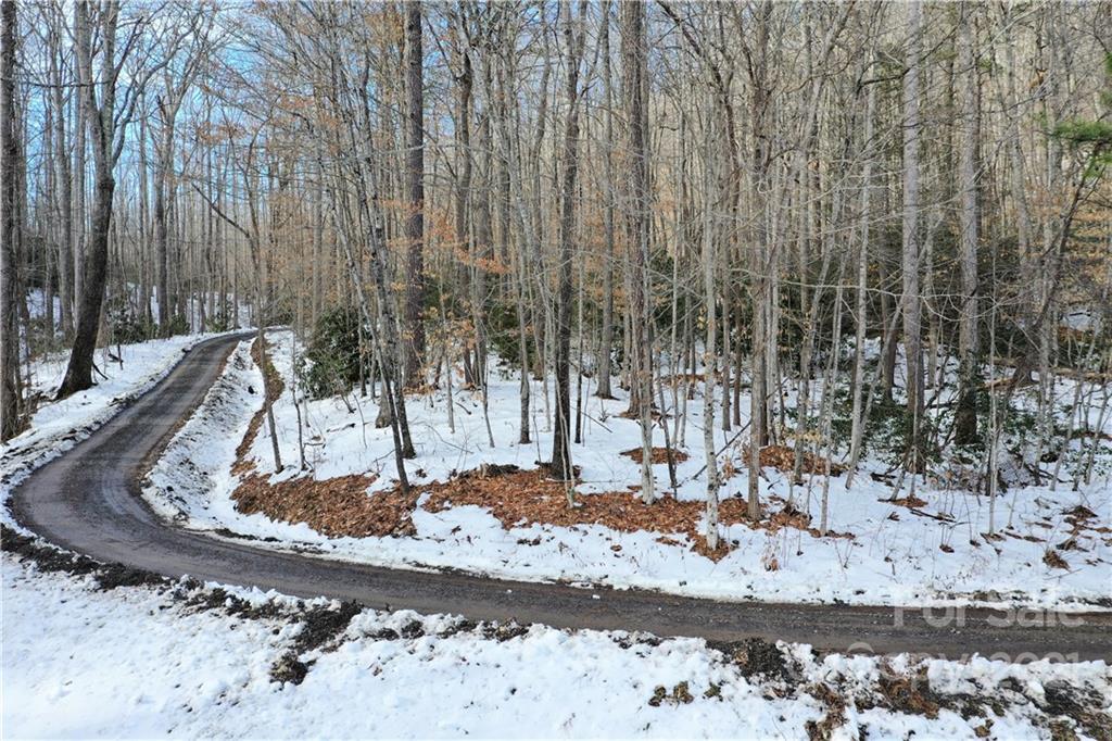 173 Dotson Road Fairview, NC 28730 - Photo 8 of 16 Gallery Image 8