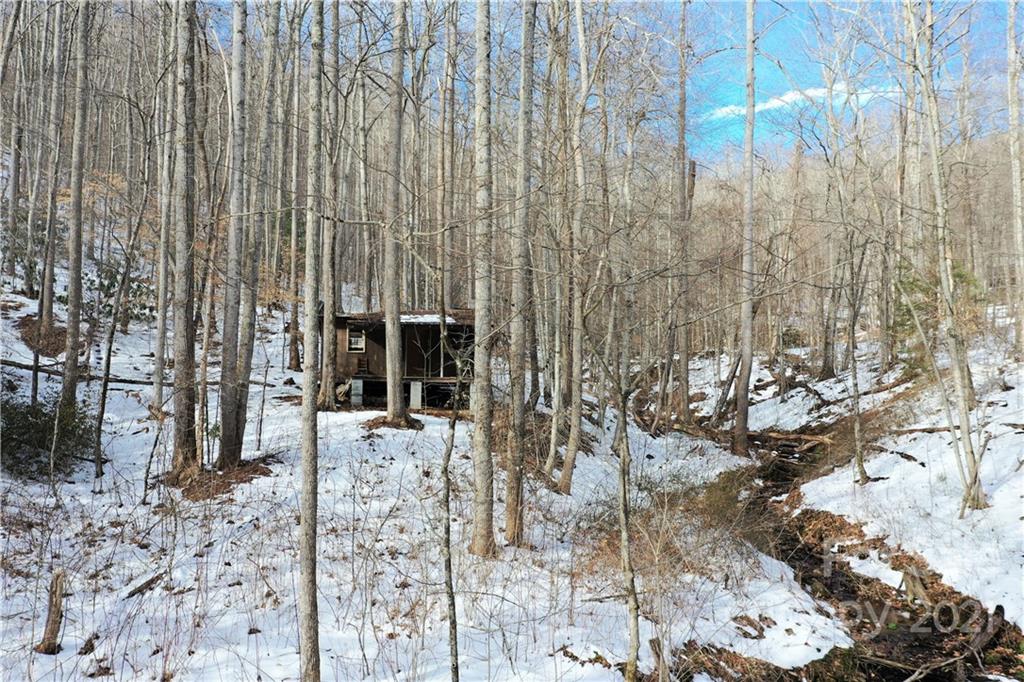 173 Dotson Road Fairview, NC 28730 - Photo 10 of 16 Gallery Image 10