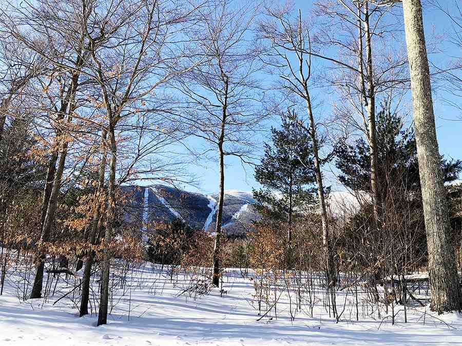 150 Colony Road, Unit 3 Warren, VT 05674 - Photo 1 of 4