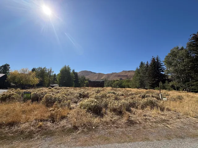 $330,000 | 201 Alturas Drive, Hailey, ID 83333